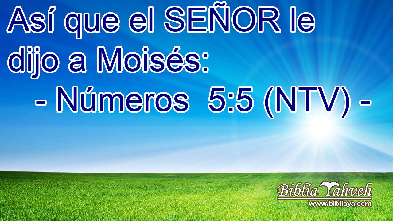 Así que el SEÑOR le dijo a Moisés: