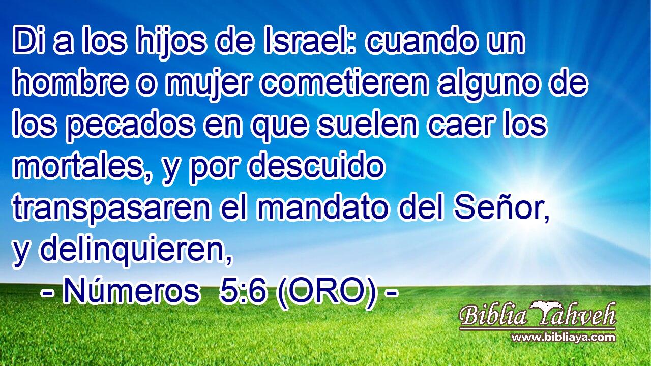  Di a los hijos de Israel: cuando un hombre o mujer cometieren alguno de los pecados en que suelen caer los mortales, y por descuido transpasaren el mandato del Señor, y delinquieren, 