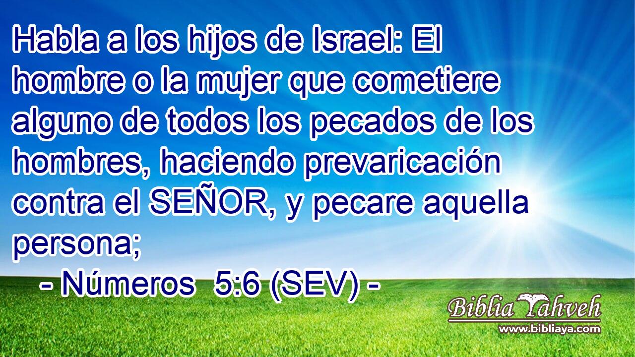 Habla a los hijos de Israel: El hombre o la mujer que cometiere alguno de todos los pecados de los hombres, haciendo prevaricación contra el SEÑOR, y pecare aquella persona;