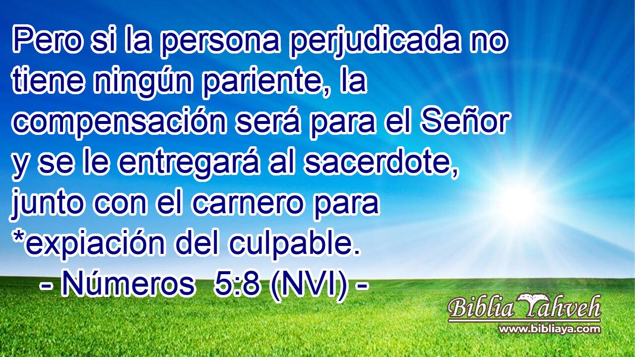  Pero si la persona perjudicada no tiene ningún pariente, la compensación será para el Señor y se le entregará al sacerdote, junto con el carnero para *expiación del culpable. 