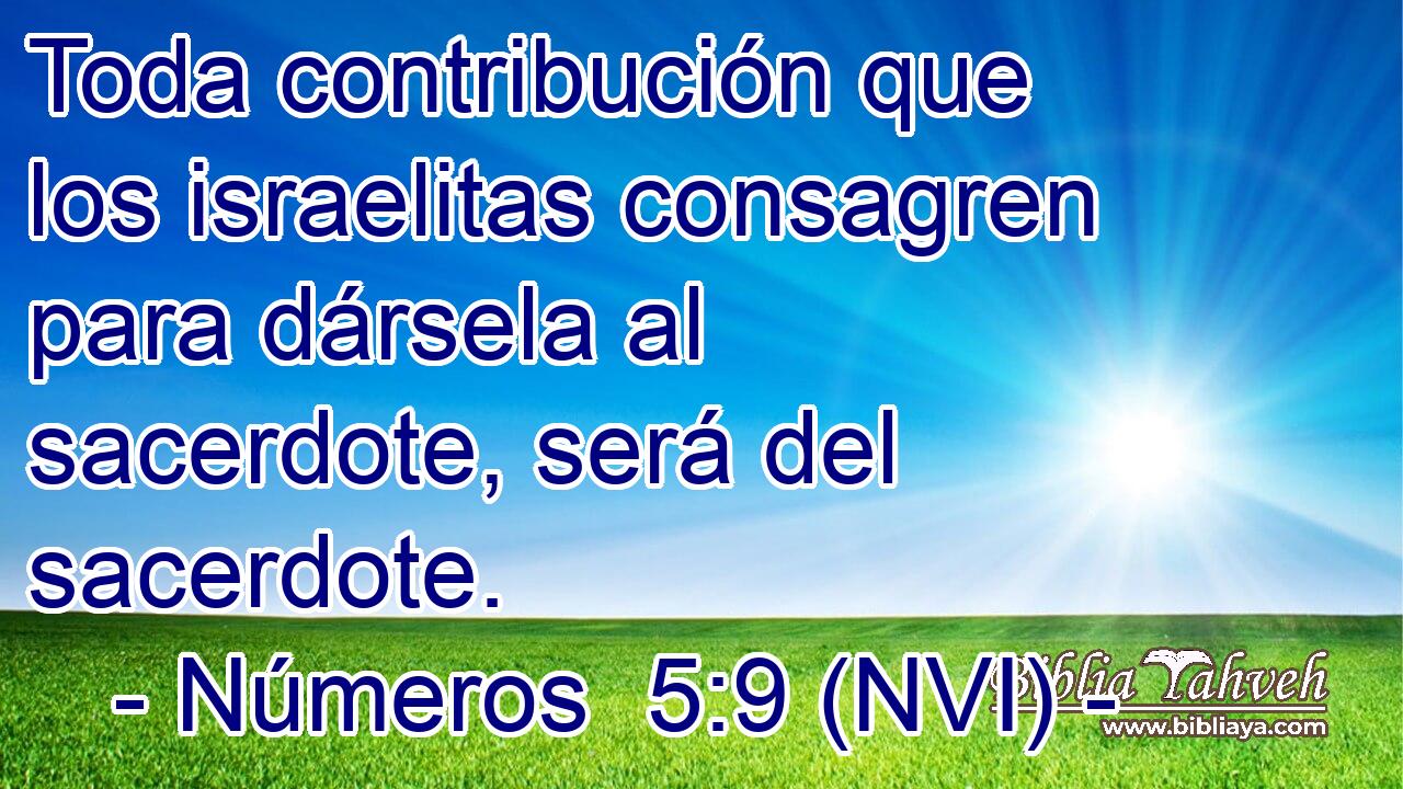  Toda contribución que los israelitas consagren para dársela al sacerdote, será del sacerdote. 