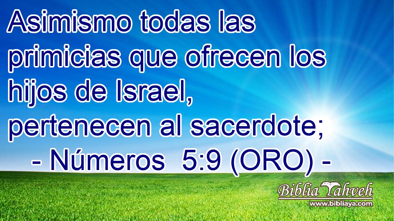  Asimismo todas las primicias que ofrecen los hijos de Israel, pertenecen al sacerdote; 