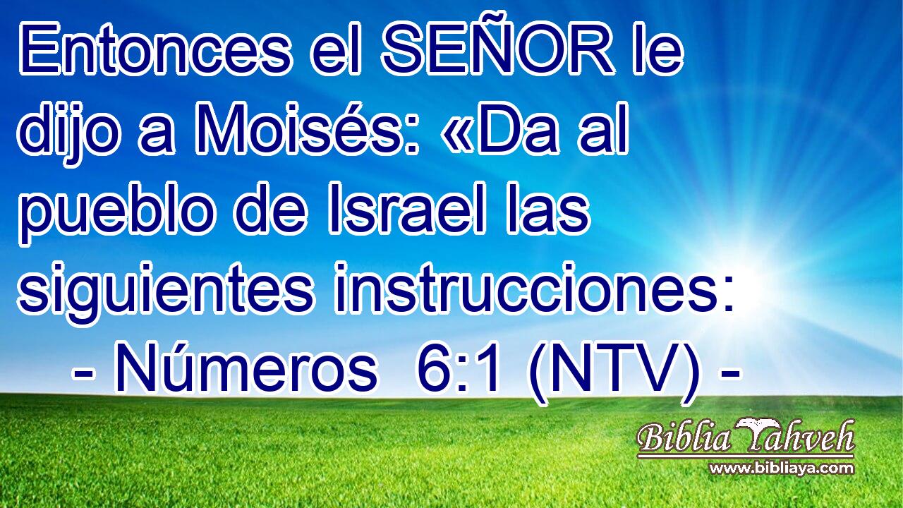 Entonces el SEÑOR le dijo a Moisés: «Da al pueblo de Israel las siguientes instrucciones: