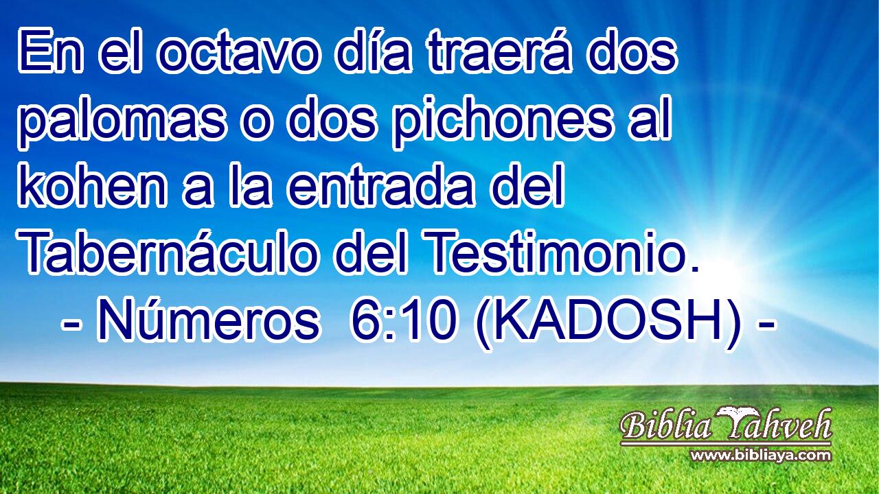 En el octavo día traerá dos palomas o dos pichones al kohen a la entrada del Tabernáculo del Testimonio. 