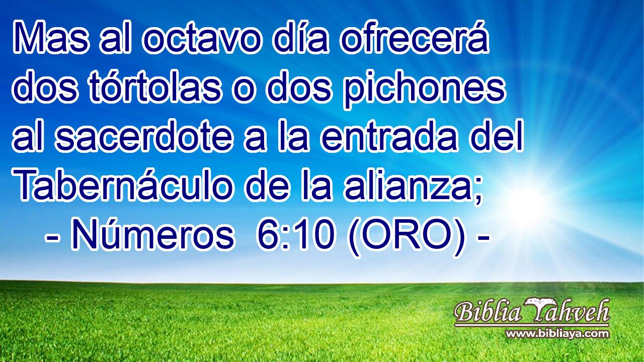  Mas al octavo día ofrecerá dos tórtolas o dos pichones al sacerdote a la entrada del Tabernáculo de la alianza; 