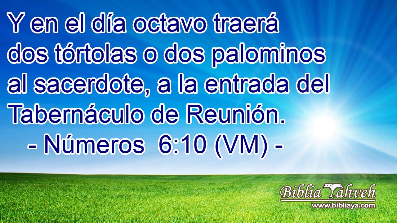  Y en el día octavo traerá dos tórtolas o dos palominos al sacerdote, a la entrada del Tabernáculo de Reunión. 