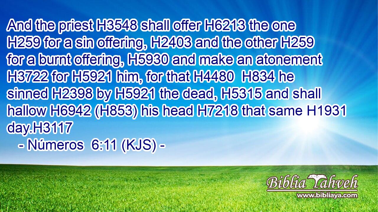 And the priest H3548 shall offer H6213 the one H259 for a sin offering, H2403 and the other H259 for a burnt offering, H5930 and make an atonement H3722 for H5921 him, for that H4480  H834 he sinned H2398 by H5921 the dead, H5315 and shall hallow H6942 (H853) his head H7218 that same H1931 day.H3117