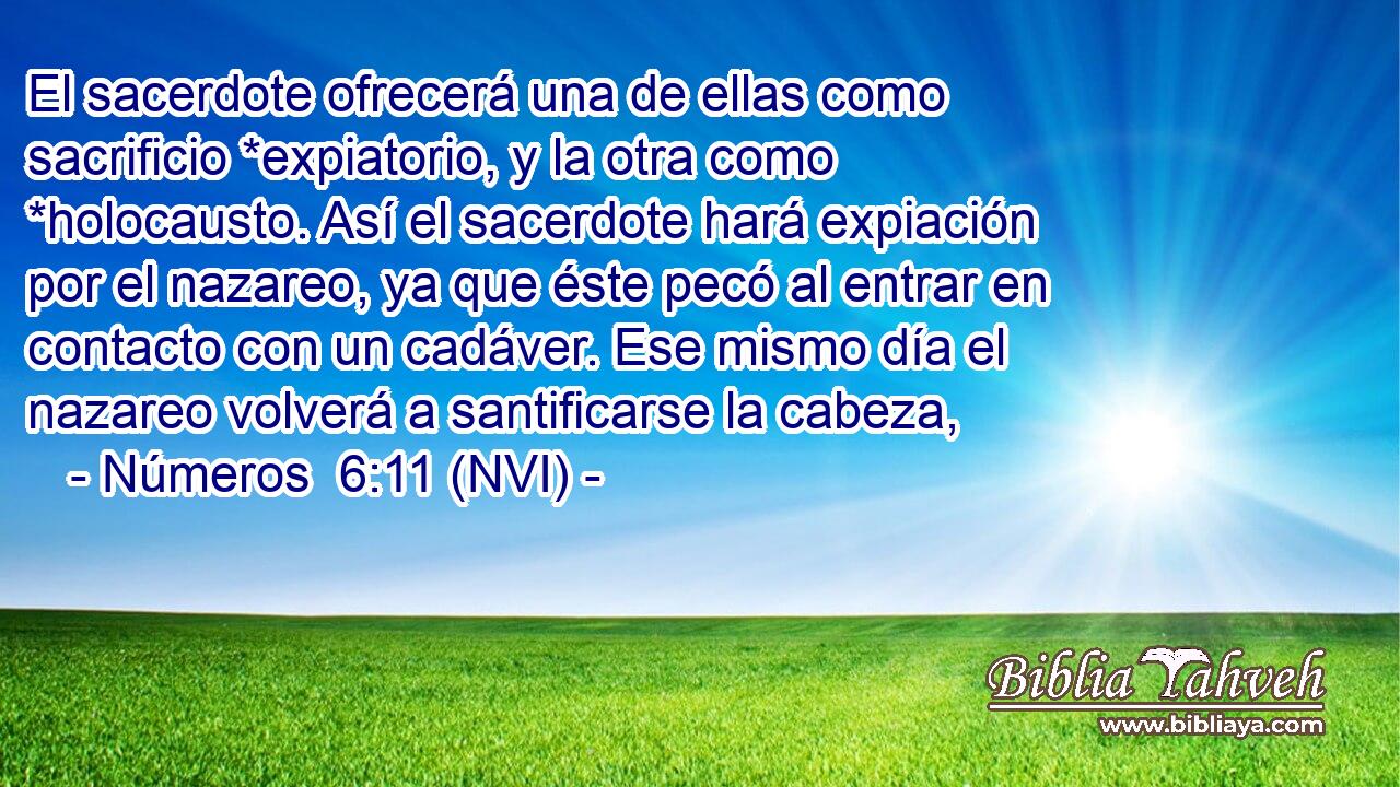  El sacerdote ofrecerá una de ellas como sacrificio *expiatorio, y la otra como *holocausto. Así el sacerdote hará expiación por el nazareo, ya que éste pecó al entrar en contacto con un cadáver. Ese mismo día el nazareo volverá a santificarse la cabeza, 