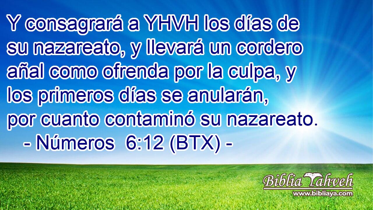 Y consagrará a YHVH los días de su nazareato, y llevará un cordero añal como ofrenda por la culpa, y los primeros días se anularán, por cuanto contaminó su nazareato.