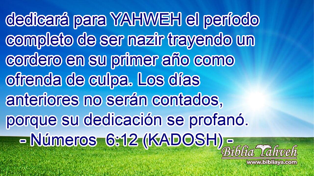  dedicará para YAHWEH el período completo de ser nazir trayendo un cordero en su primer año como ofrenda de culpa. Los días anteriores no serán contados, porque su dedicación se profanó. 