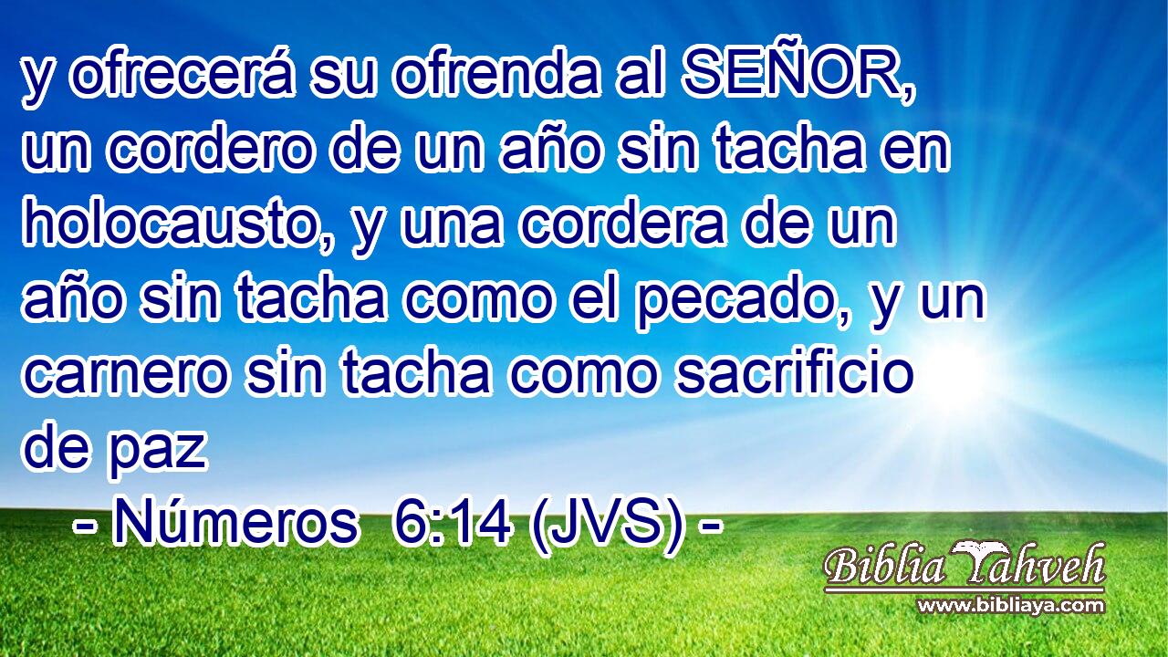 y ofrecerá su ofrenda al SEÑOR, un cordero de un año sin tacha en holocausto, y una cordera de un año sin tacha como el pecado, y un carnero sin tacha como sacrificio de paz