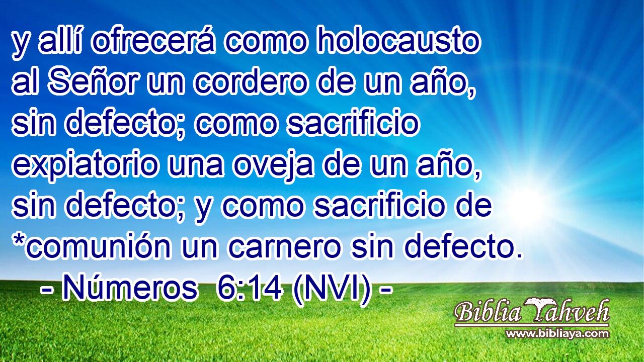  y allí ofrecerá como holocausto al Señor un cordero de un año, sin defecto; como sacrificio expiatorio una oveja de un año, sin defecto; y como sacrificio de *comunión un carnero sin defecto. 