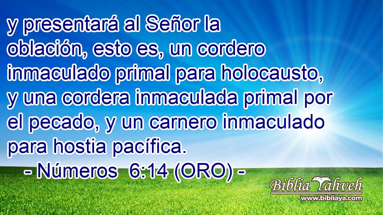  y presentará al Señor la oblación, esto es, un cordero inmaculado primal para holocausto, y una cordera inmaculada primal por el pecado, y un carnero inmaculado para hostia pacífica. 