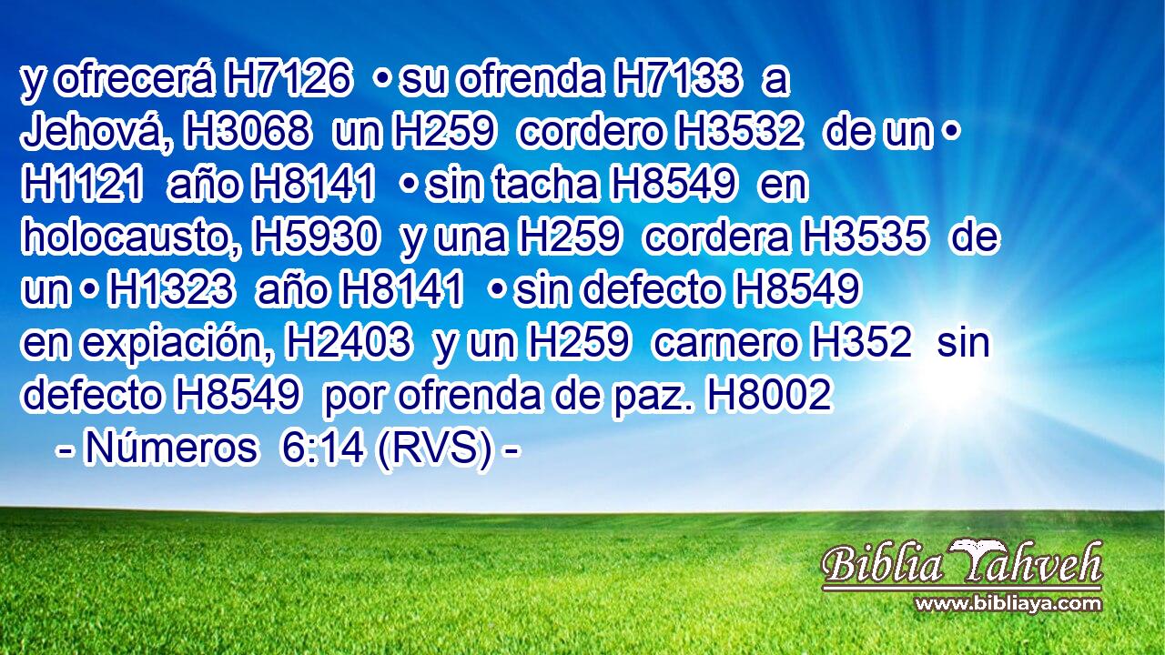 y ofrecerá H7126  • su ofrenda H7133  a Jehová, H3068  un H259  cordero H3532  de un • H1121  año H8141  • sin tacha H8549  en holocausto, H5930  y una H259  cordera H3535  de un • H1323  año H8141  • sin defecto H8549  en expiación, H2403  y un H259  carnero H352  sin defecto H8549  por ofrenda de paz. H8002  