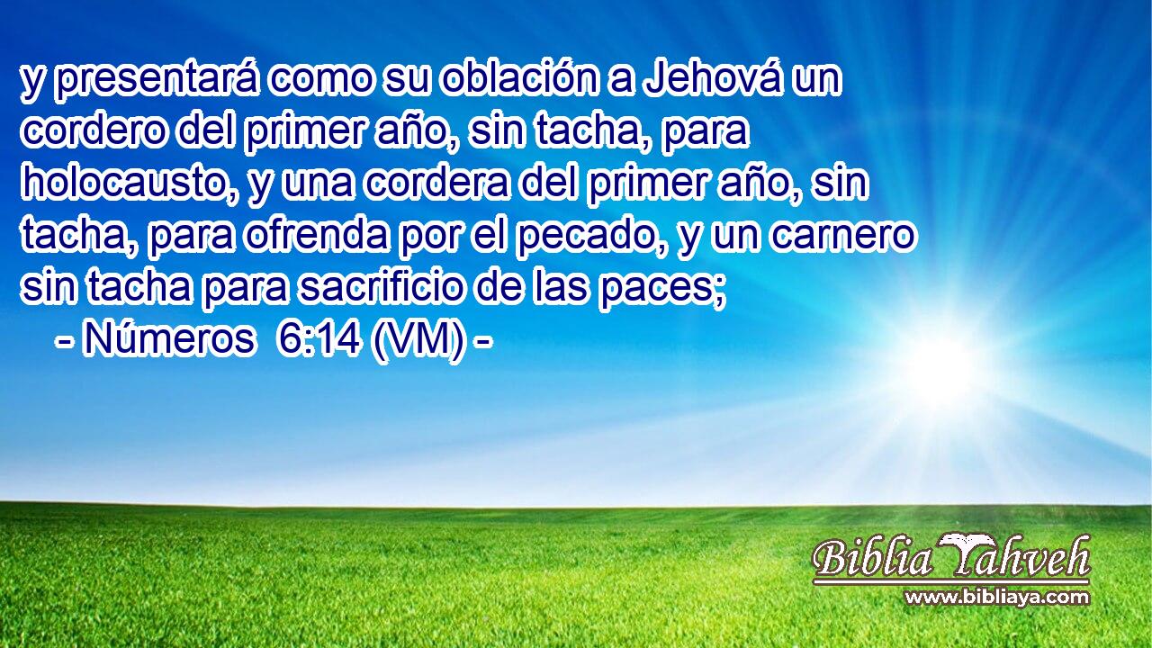  y presentará como su oblación a Jehová un cordero del primer año, sin tacha, para holocausto, y una cordera del primer año, sin tacha, para ofrenda por el pecado, y un carnero sin tacha para sacrificio de las paces; 