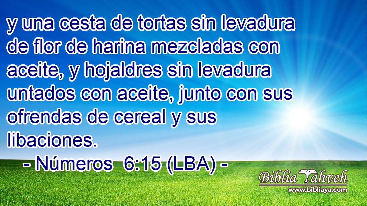 y una cesta de tortas sin levadura de flor de harina mezcladas con aceite, y hojaldres sin levadura untados con aceite, junto con sus ofrendas de cereal y sus libaciones.