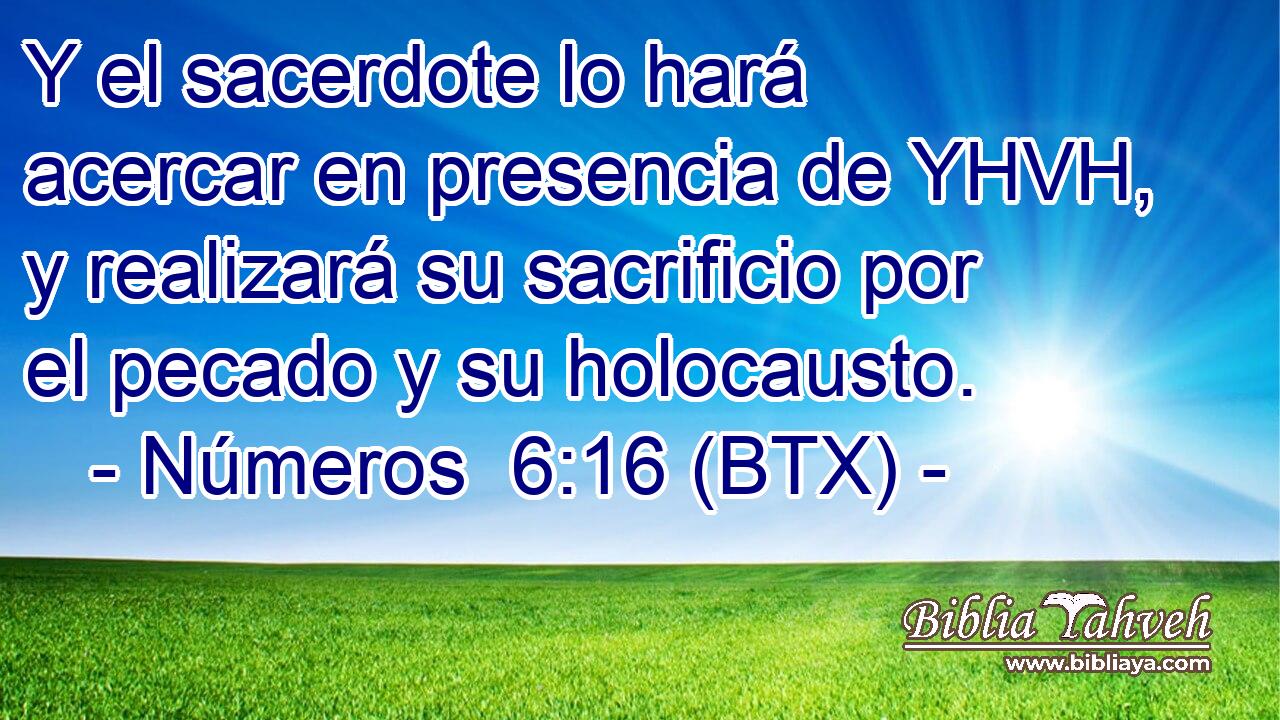 Y el sacerdote lo hará acercar en presencia de YHVH, y realizará su sacrificio por el pecado y su holocausto.