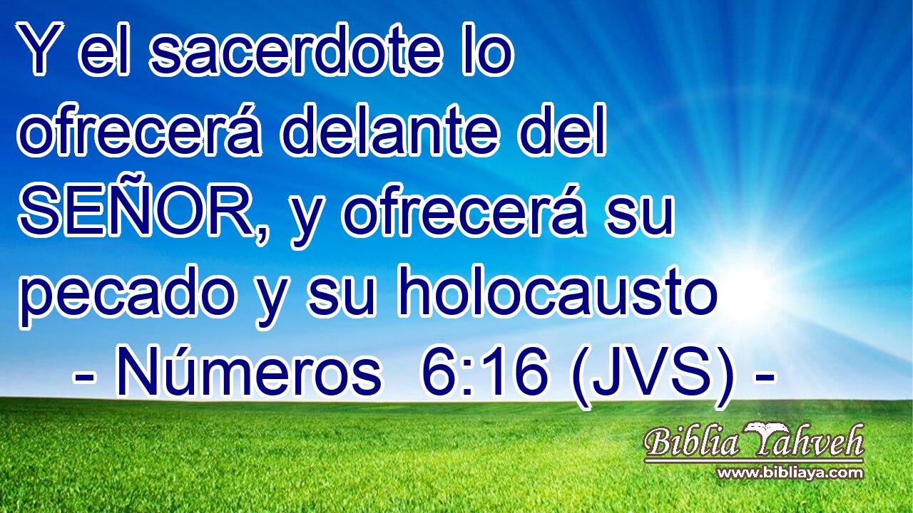 Y el sacerdote lo ofrecerá delante del SEÑOR, y ofrecerá su pecado y su holocausto