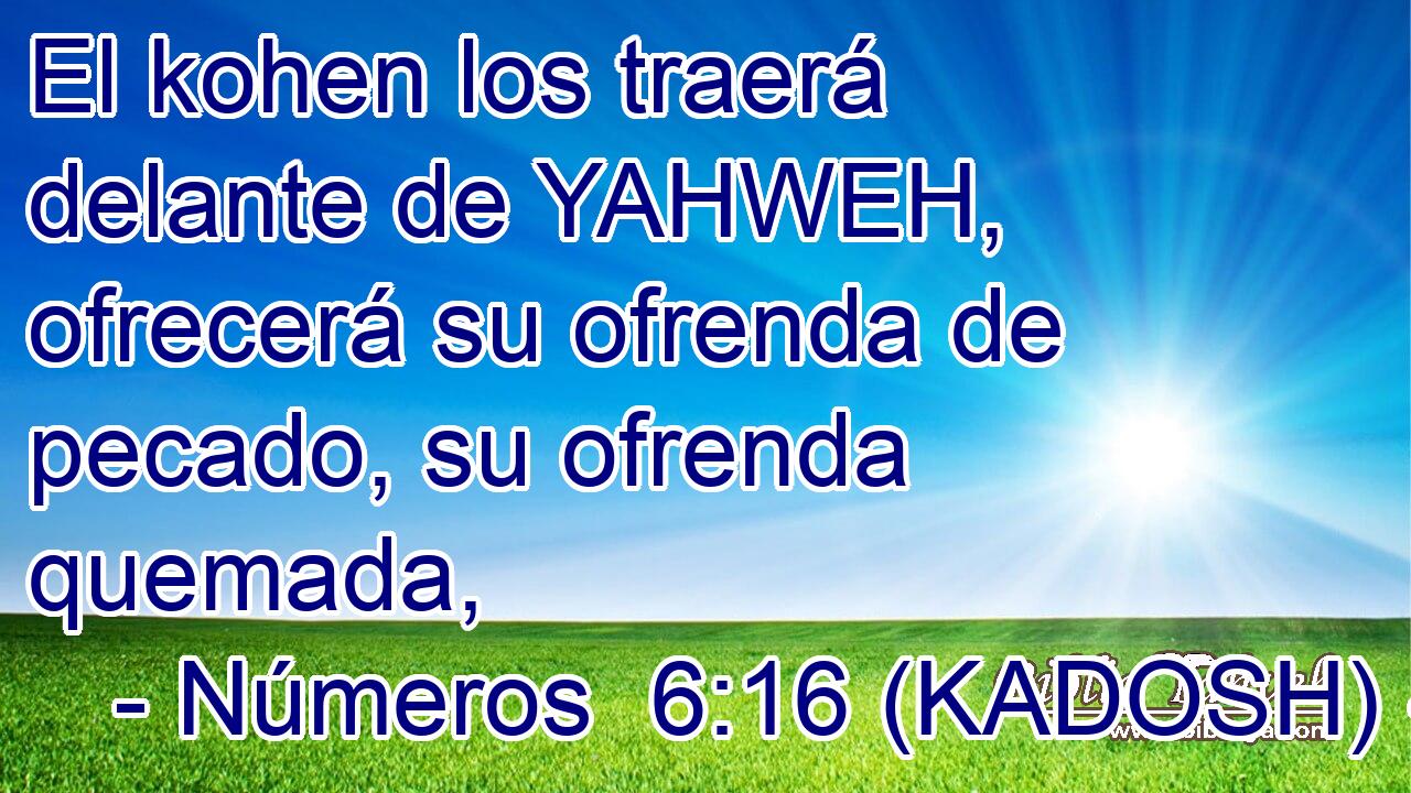  El kohen los traerá delante de YAHWEH, ofrecerá su ofrenda de pecado, su ofrenda quemada, 