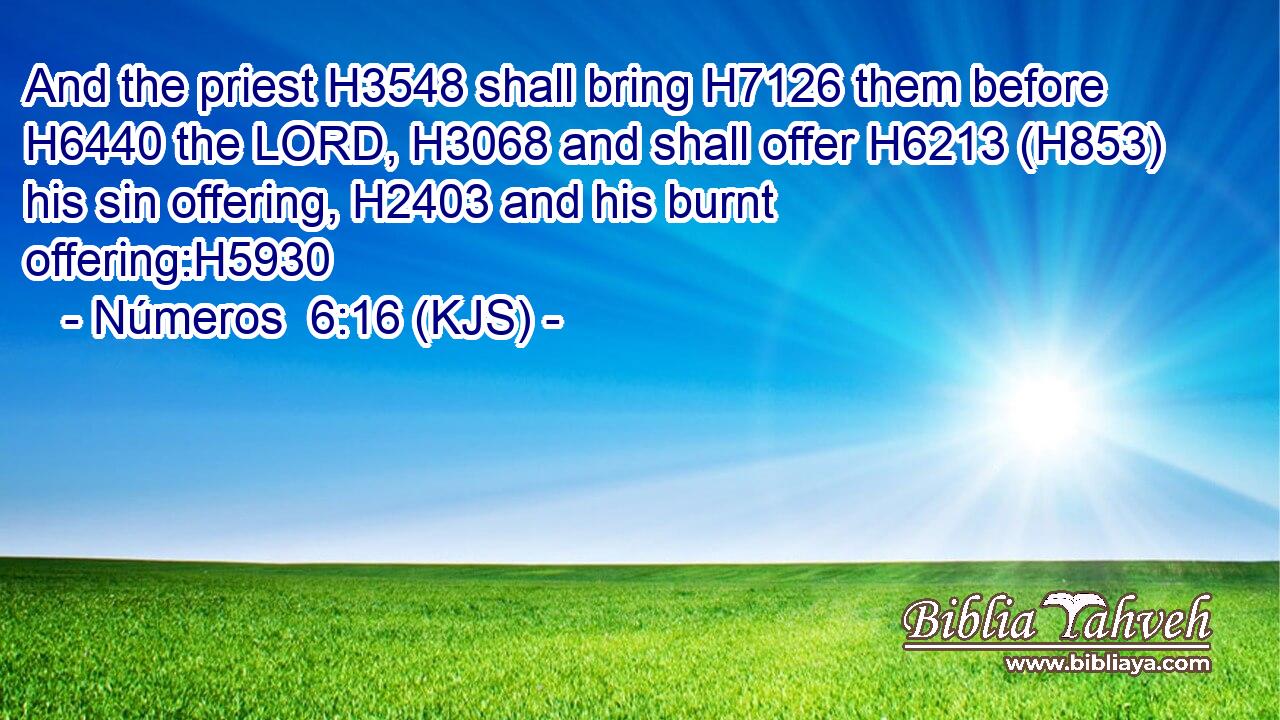 And the priest H3548 shall bring H7126 them before H6440 the LORD, H3068 and shall offer H6213 (H853) his sin offering, H2403 and his burnt offering:H5930
