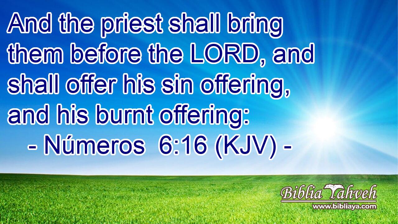 And the priest shall bring them before the LORD, and shall offer his sin offering, and his burnt offering: