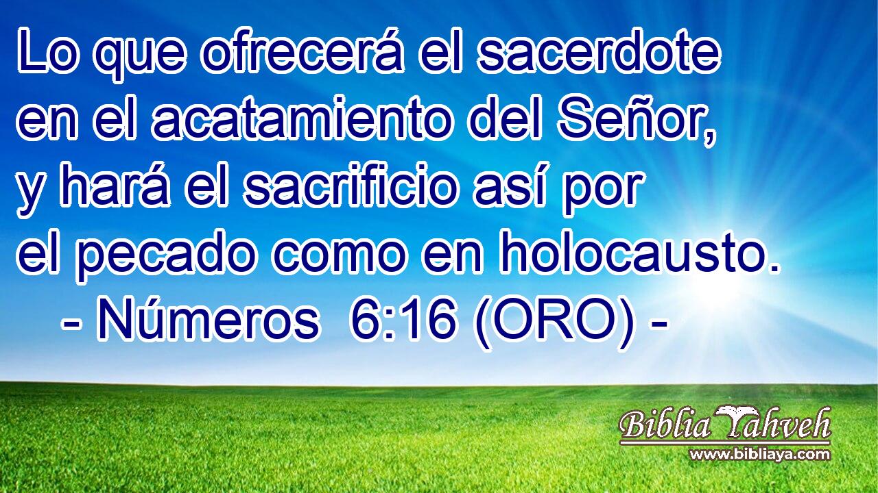  Lo que ofrecerá el sacerdote en el acatamiento del Señor, y hará el sacrificio así por el pecado como en holocausto. 