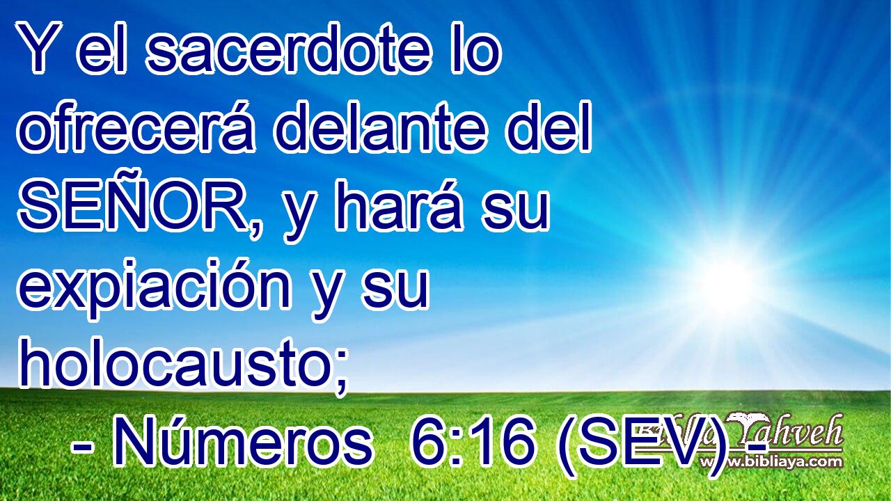 Y el sacerdote lo ofrecerá delante del SEÑOR, y hará su expiación y su holocausto;