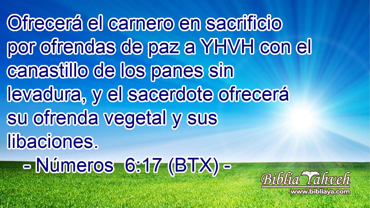 Ofrecerá el carnero en sacrificio por ofrendas de paz a YHVH con el canastillo de los panes sin levadura, y el sacerdote ofrecerá su ofrenda vegetal y sus libaciones.