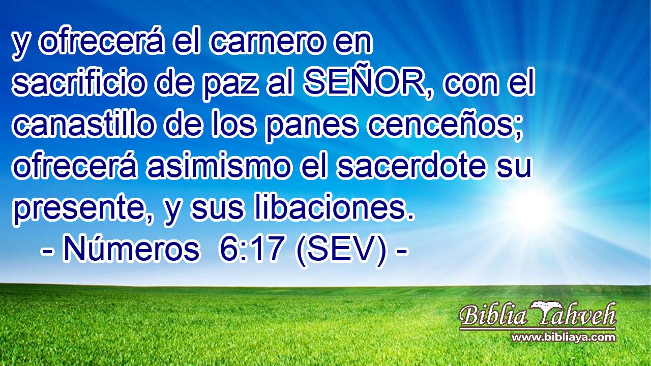 y ofrecerá el carnero en sacrificio de paz al SEÑOR, con el canastillo de los panes cenceños; ofrecerá asimismo el sacerdote su presente, y sus libaciones.