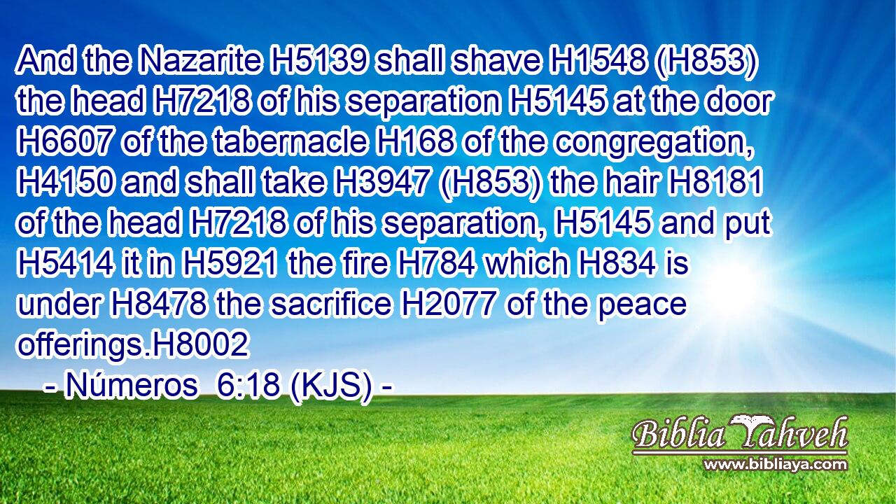 And the Nazarite H5139 shall shave H1548 (H853) the head H7218 of his separation H5145 at the door H6607 of the tabernacle H168 of the congregation, H4150 and shall take H3947 (H853) the hair H8181 of the head H7218 of his separation, H5145 and put H5414 it in H5921 the fire H784 which H834 is under H8478 the sacrifice H2077 of the peace offerings.H8002