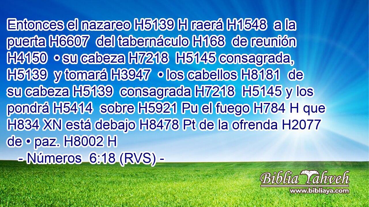 Entonces el nazareo H5139 H raerá H1548  a la puerta H6607  del tabernáculo H168  de reunión H4150  • su cabeza H7218  H5145 consagrada, H5139  y tomará H3947  • los cabellos H8181  de su cabeza H5139  consagrada H7218  H5145 y los pondrá H5414  sobre H5921 Pu el fuego H784 H que H834 XN está debajo H8478 Pt de la ofrenda H2077  de • paz. H8002 H 
