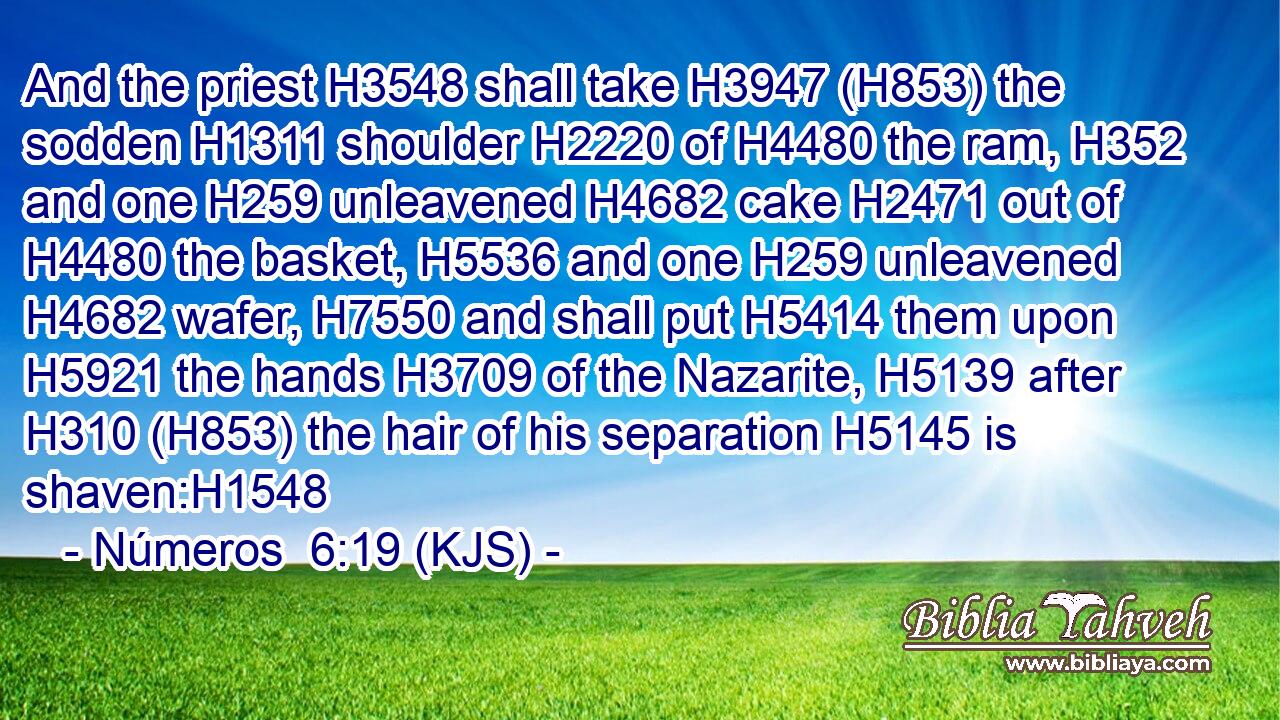 And the priest H3548 shall take H3947 (H853) the sodden H1311 shoulder H2220 of H4480 the ram, H352 and one H259 unleavened H4682 cake H2471 out of H4480 the basket, H5536 and one H259 unleavened H4682 wafer, H7550 and shall put H5414 them upon H5921 the hands H3709 of the Nazarite, H5139 after H310 (H853) the hair of his separation H5145 is shaven:H1548