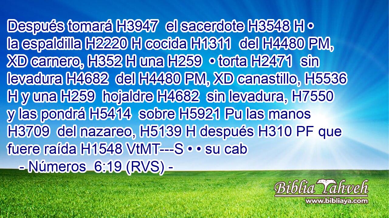 Después tomará H3947  el sacerdote H3548 H • la espaldilla H2220 H cocida H1311  del H4480 PM, XD carnero, H352 H una H259  • torta H2471  sin levadura H4682  del H4480 PM, XD canastillo, H5536 H y una H259  hojaldre H4682  sin levadura, H7550  y las pondrá H5414  sobre H5921 Pu las manos H3709  del nazareo, H5139 H después H310 PF que fuere raída H1548 VtMT---S • • su cab