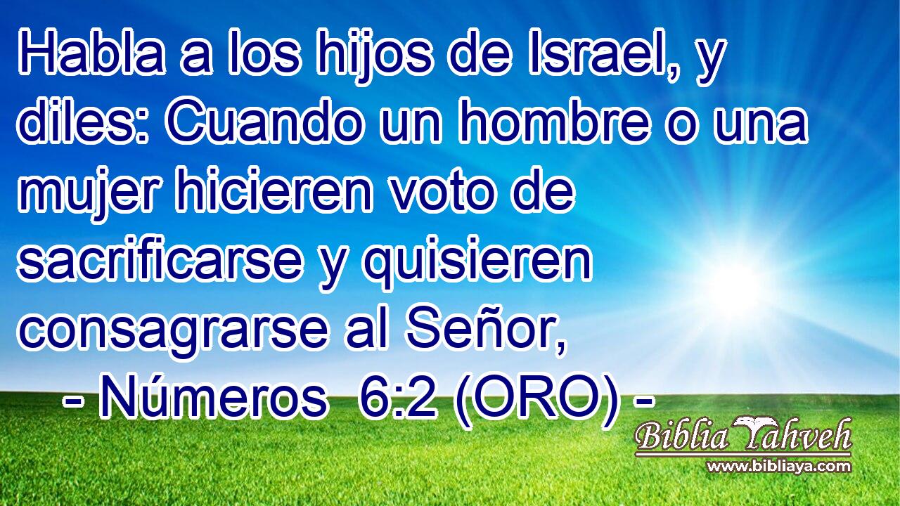  Habla a los hijos de Israel, y diles: Cuando un hombre o una mujer hicieren voto de sacrificarse y quisieren consagrarse al Señor, 