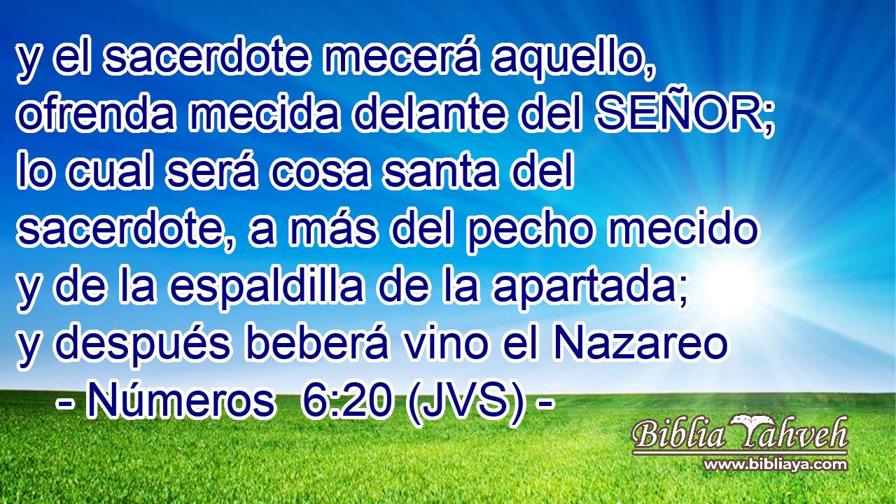 y el sacerdote mecerá aquello, ofrenda mecida delante del SEÑOR; lo cual será cosa santa del sacerdote, a más del pecho mecido y de la espaldilla de la apartada; y después beberá vino el Nazareo