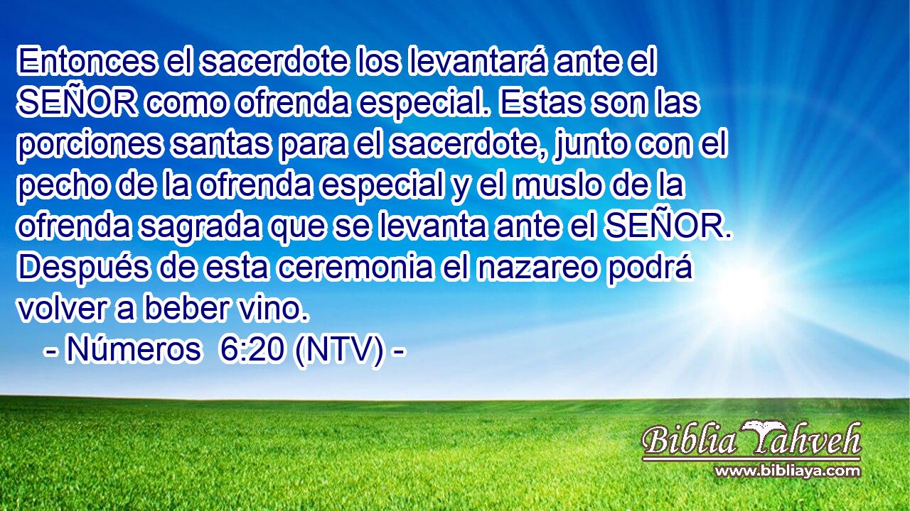 Entonces el sacerdote los levantará ante el SEÑOR como ofrenda especial. Estas son las porciones santas para el sacerdote, junto con el pecho de la ofrenda especial y el muslo de la ofrenda sagrada que se levanta ante el SEÑOR. Después de esta ceremonia el nazareo podrá volver a beber vino.