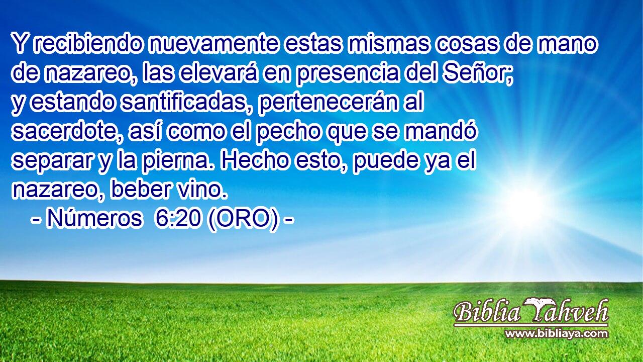  Y recibiendo nuevamente estas mismas cosas de mano de nazareo, las elevará en presencia del Señor; y estando santificadas, pertenecerán al sacerdote, así como el pecho que se mandó separar y la pierna. Hecho esto, puede ya el nazareo, beber vino. 