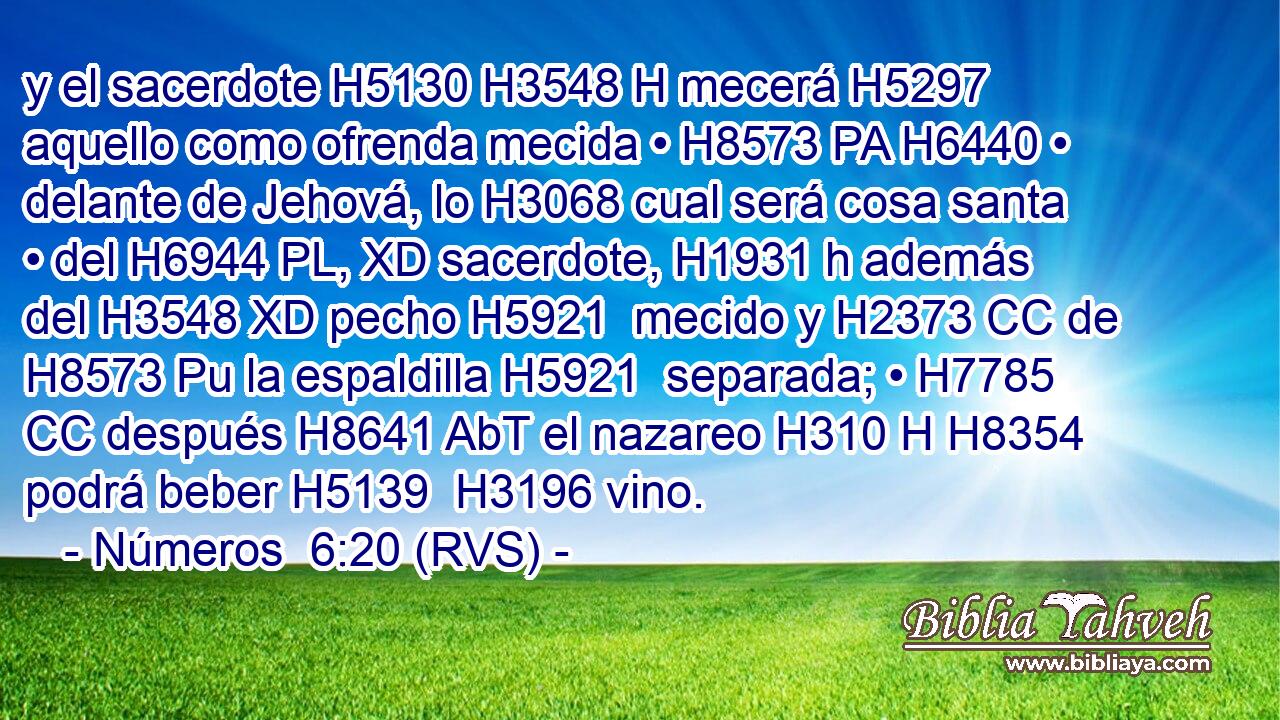y el sacerdote H5130 H3548 H mecerá H5297  aquello como ofrenda mecida • H8573 PA H6440 • delante de Jehová, lo H3068 cual será cosa santa • del H6944 PL, XD sacerdote, H1931 h además del H3548 XD pecho H5921  mecido y H2373 CC de H8573 Pu la espaldilla H5921  separada; • H7785 CC después H8641 AbT el nazareo H310 H H8354 podrá beber H5139  H3196 vino. 