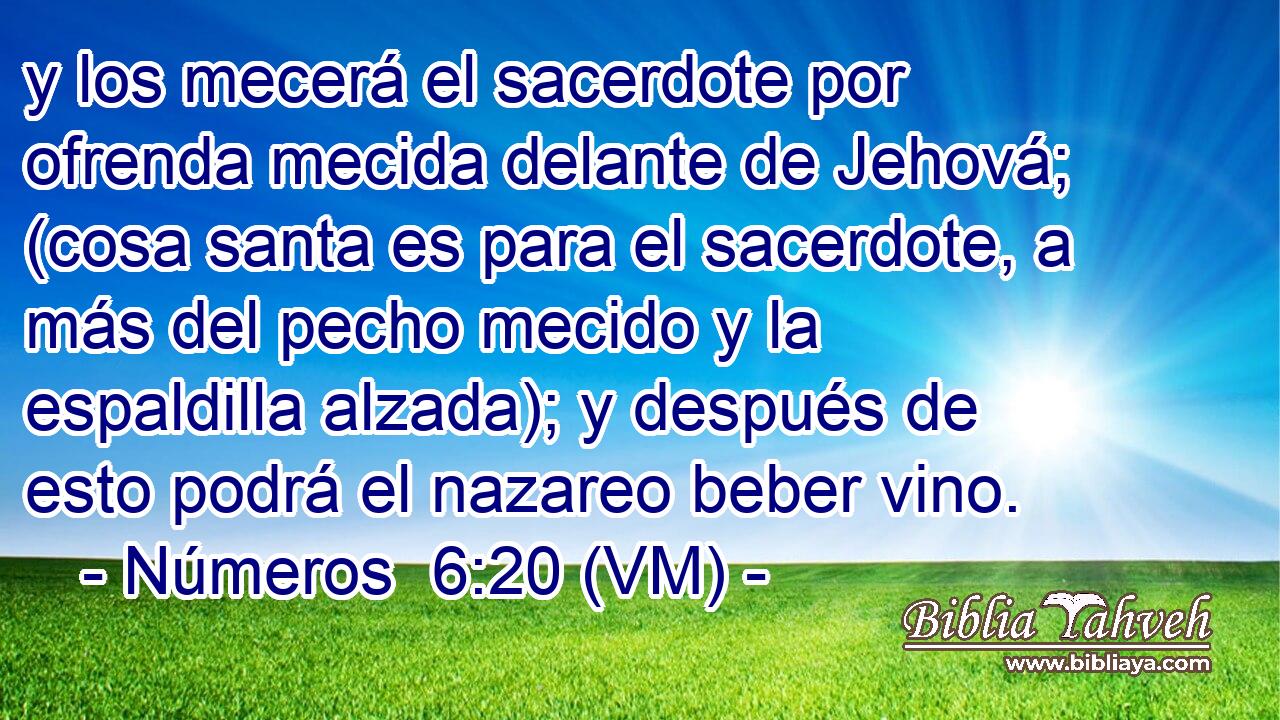  y los mecerá el sacerdote por ofrenda mecida delante de Jehová; (cosa santa es para el sacerdote, a más del pecho mecido y la espaldilla alzada); y después de esto podrá el nazareo beber vino. 