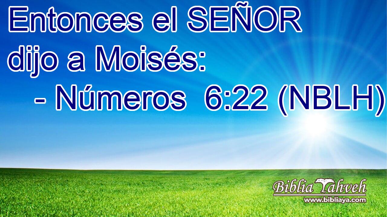  Entonces el SEÑOR dijo a Moisés: 