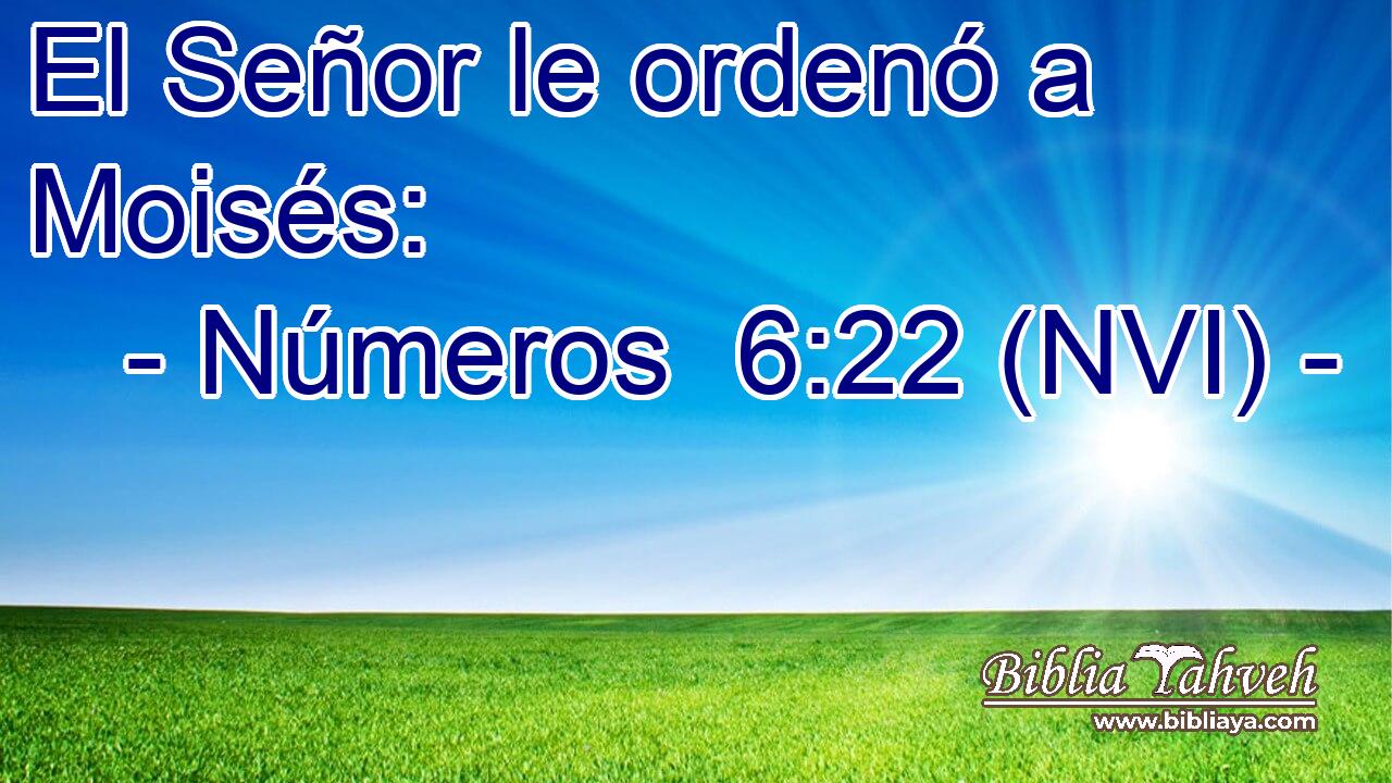  El Señor le ordenó a Moisés: 