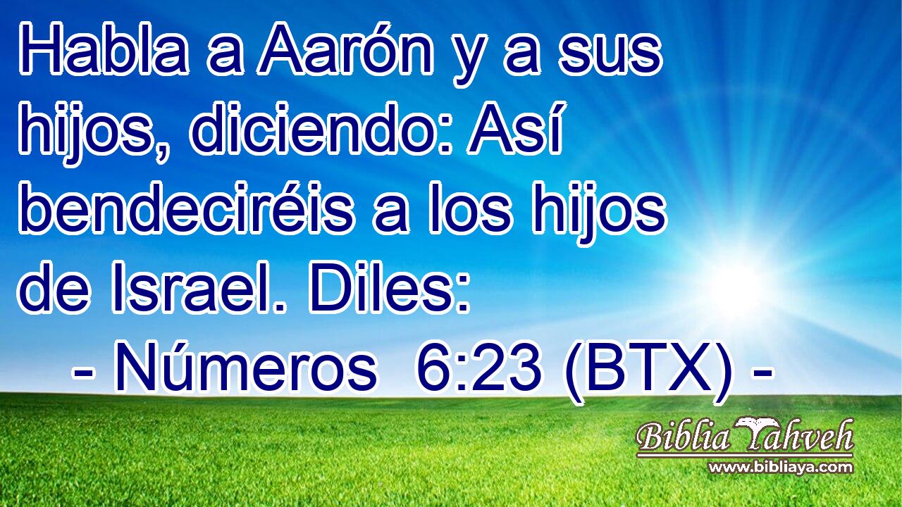 Habla a Aarón y a sus hijos, diciendo: Así bendeciréis a los hijos de Israel. Diles: