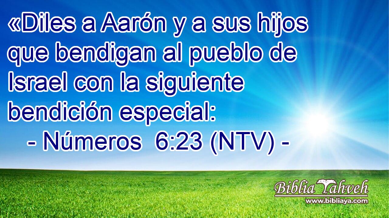 «Diles a Aarón y a sus hijos que bendigan al pueblo de Israel con la siguiente bendición especial: