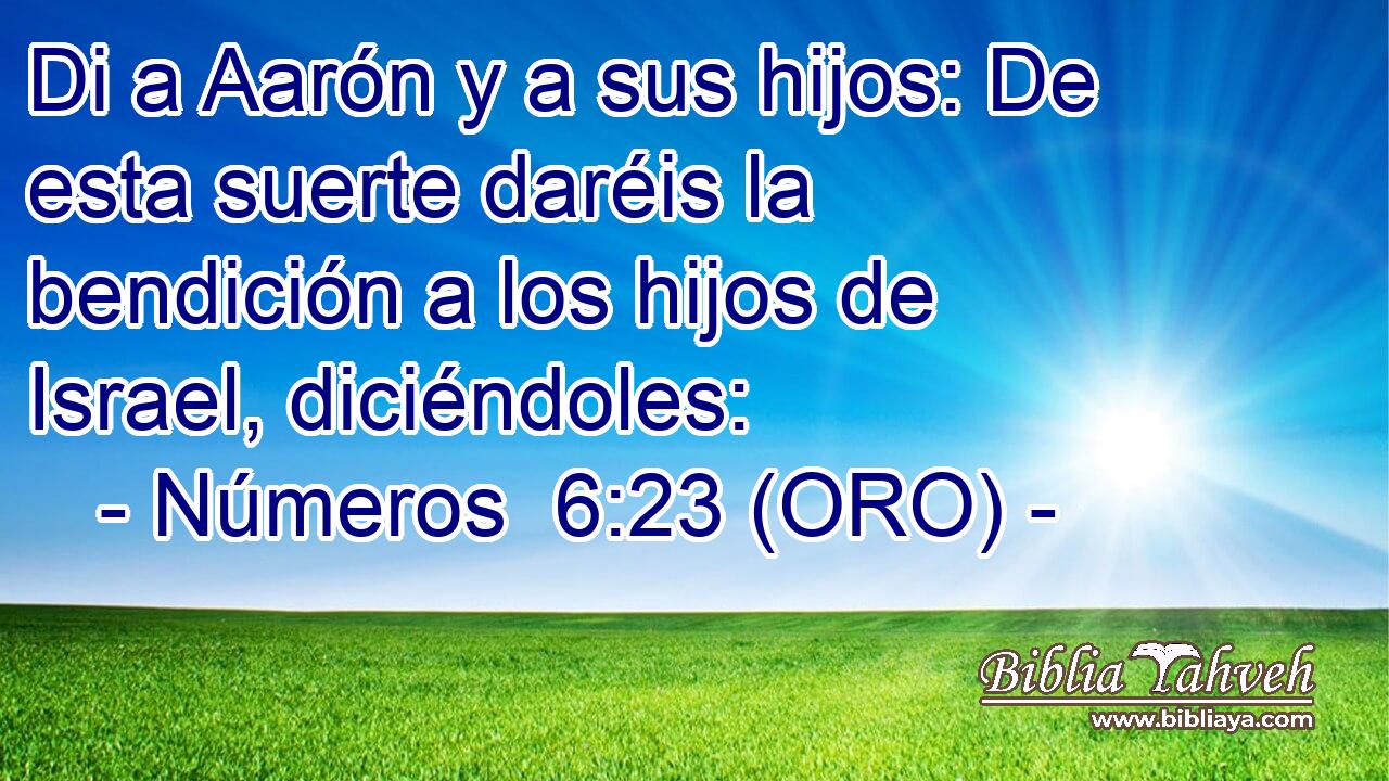  Di a Aarón y a sus hijos: De esta suerte daréis la bendición a los hijos de Israel, diciéndoles: 