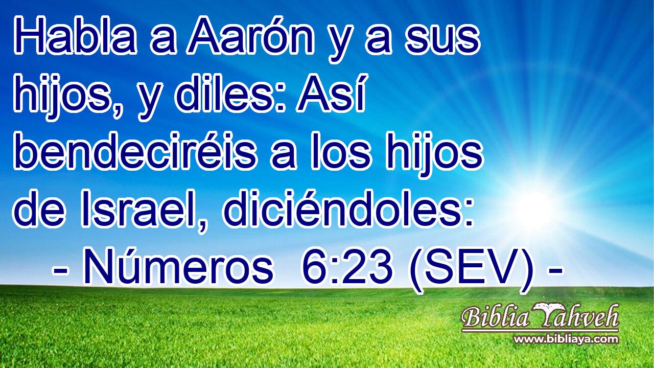 Habla a Aarón y a sus hijos, y diles: Así bendeciréis a los hijos de Israel, diciéndoles: