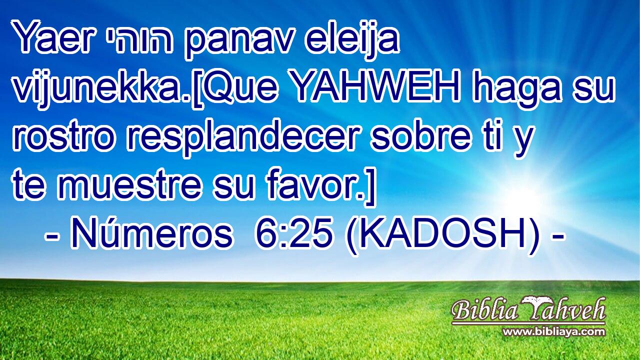  Yaer יהוה panav eleija vijunekka.[Que YAHWEH haga su rostro resplandecer sobre ti y te muestre su favor.] 
