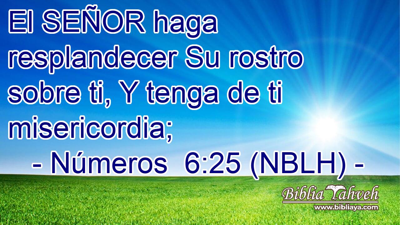  El SEÑOR haga resplandecer Su rostro sobre ti, Y tenga de ti misericordia; 