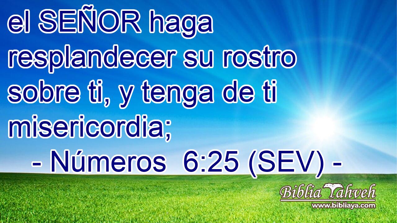 el SEÑOR haga resplandecer su rostro sobre ti, y tenga de ti misericordia;