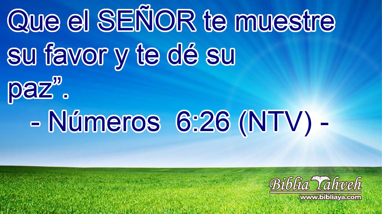 Que el SEÑOR te muestre su favor y te dé su paz”.