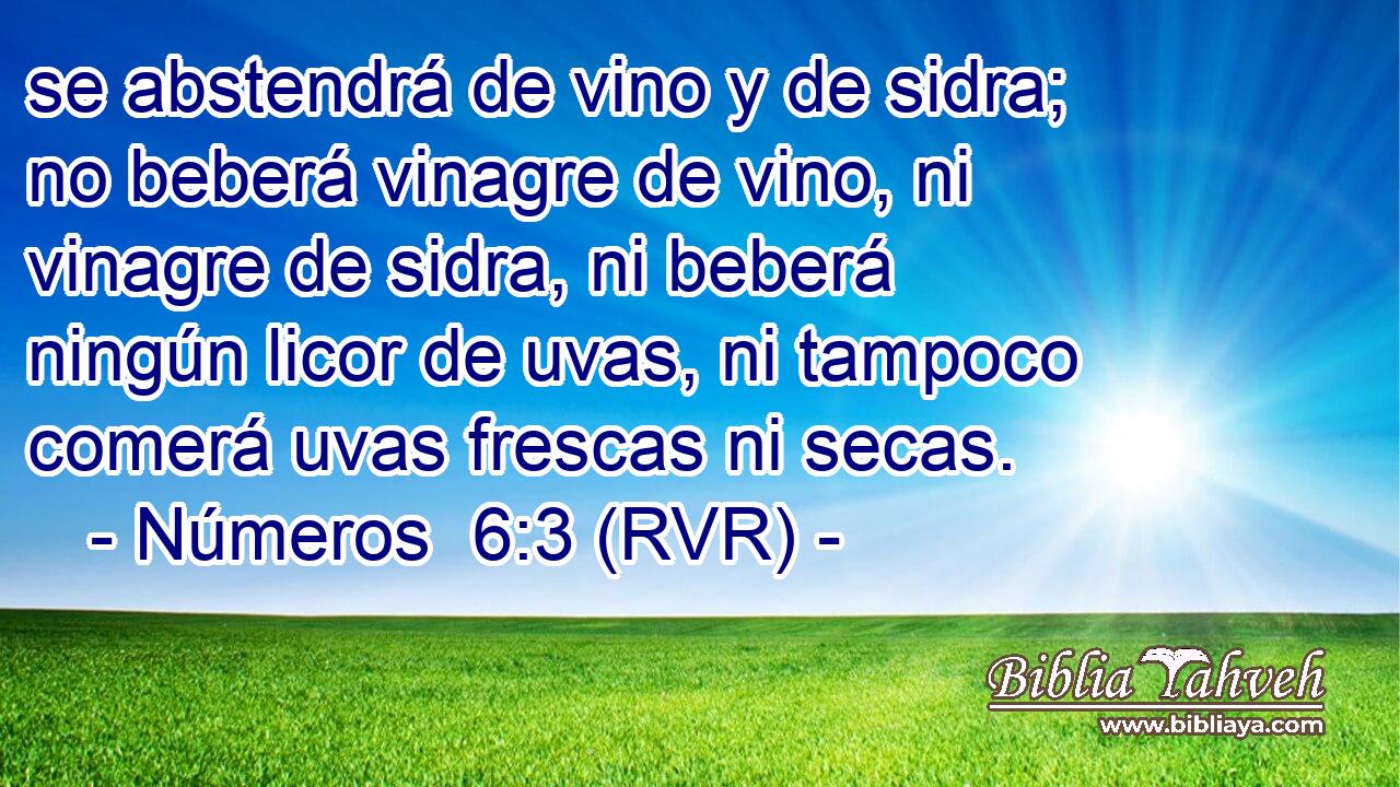 se abstendrá de vino y de sidra; no beberá vinagre de vino, ni vinagre de sidra, ni beberá ningún licor de uvas, ni tampoco comerá uvas frescas ni secas.